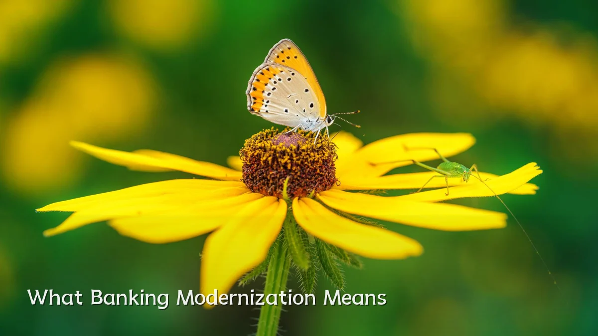 What Banking Modernization Means