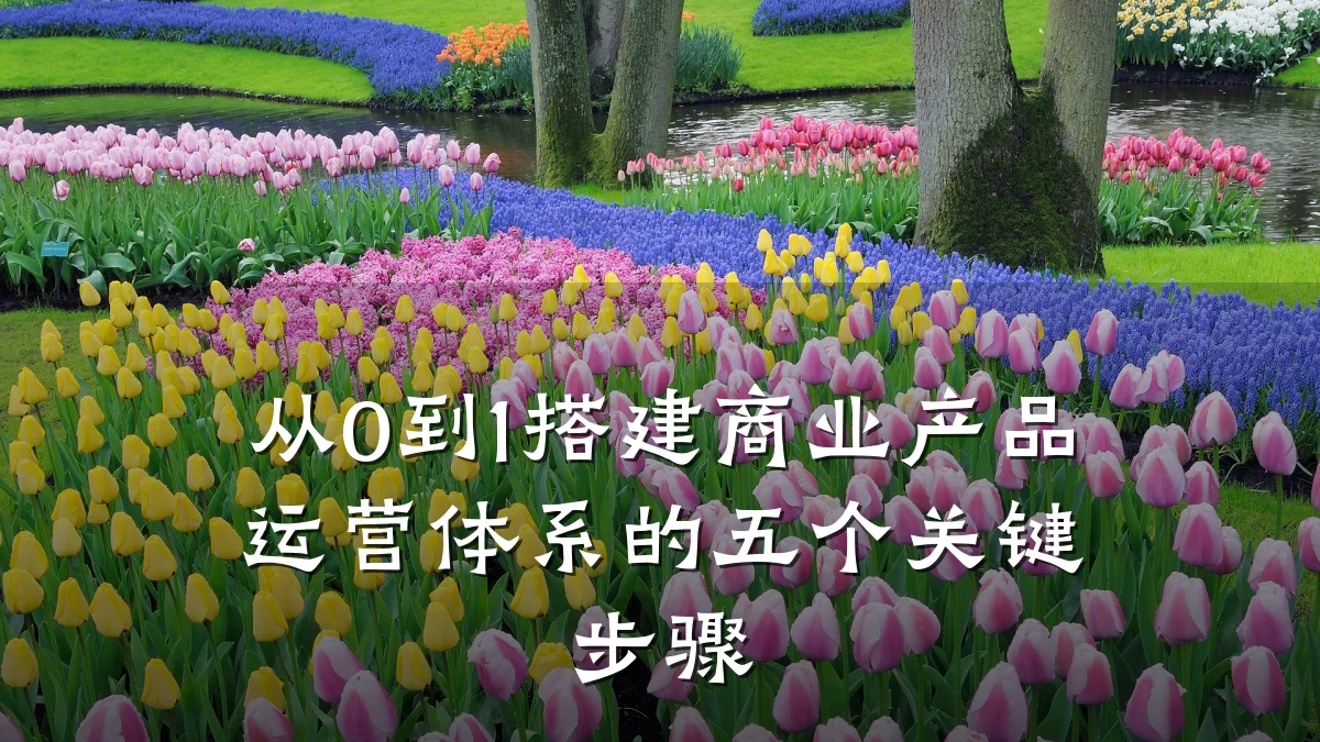 从0到1搭建商业产品运营体系的五个关键步骤