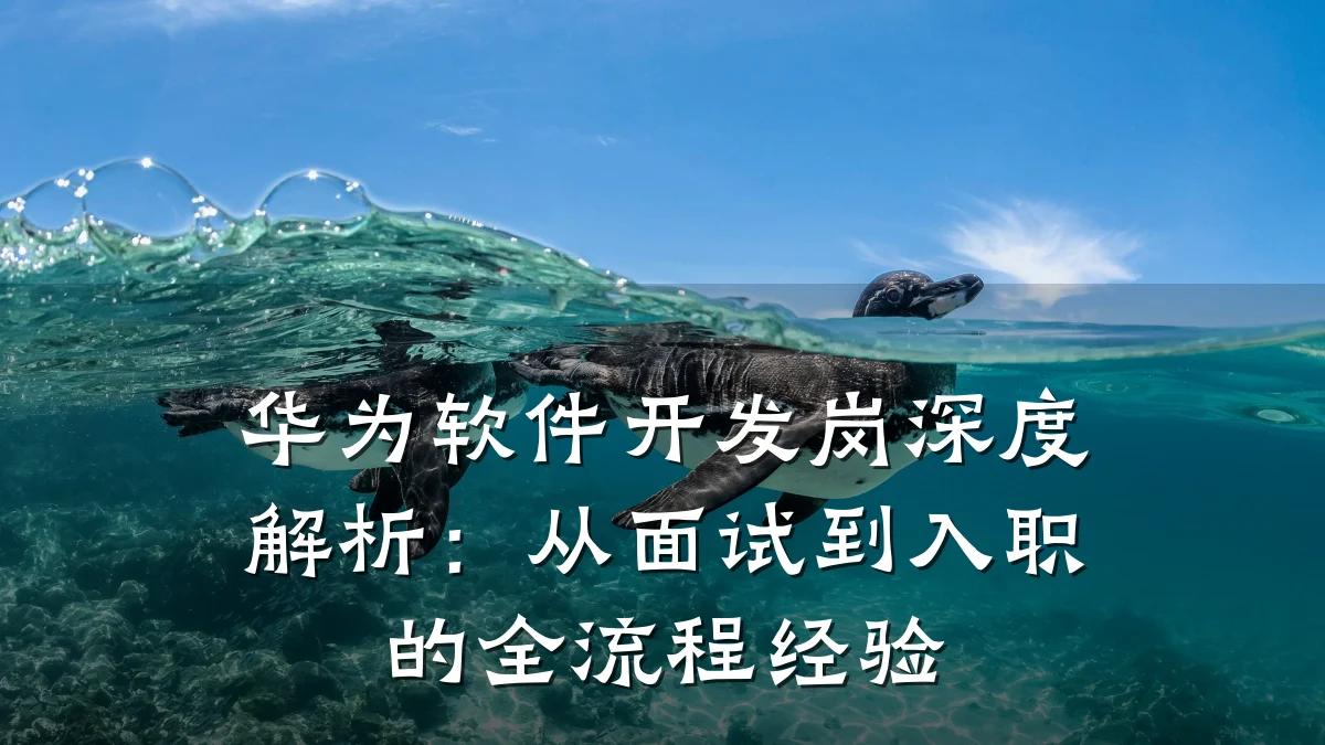 华为软件开发岗深度解析:从面试到入职的全流程经验