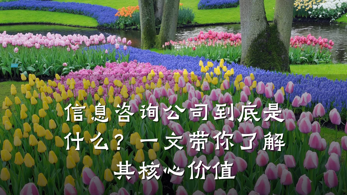 信息咨询公司到底是什么?一文带你了解其核心价值