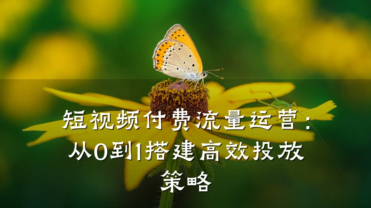 短视频付费流量运营:从0到1搭建高效投放策略
