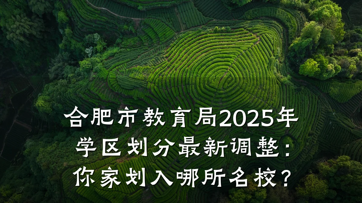 合肥市教育局2025年学区划分最新调整：你家划入哪所名校？