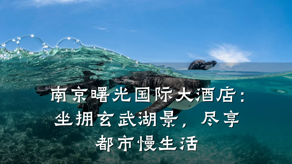 南京曙光国际大酒店:坐拥玄武湖景,尽享都市慢生活