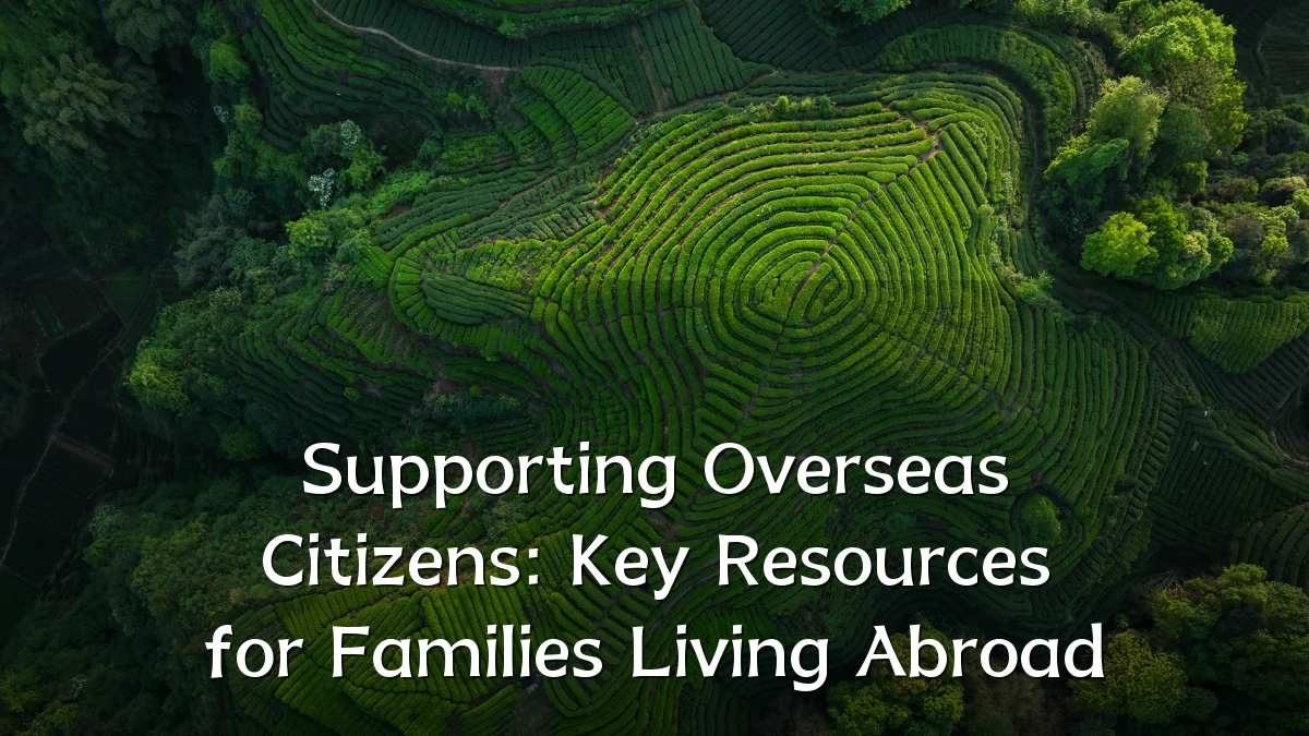 Supporting Overseas Citizens: Key Resources for Families Living Abroad