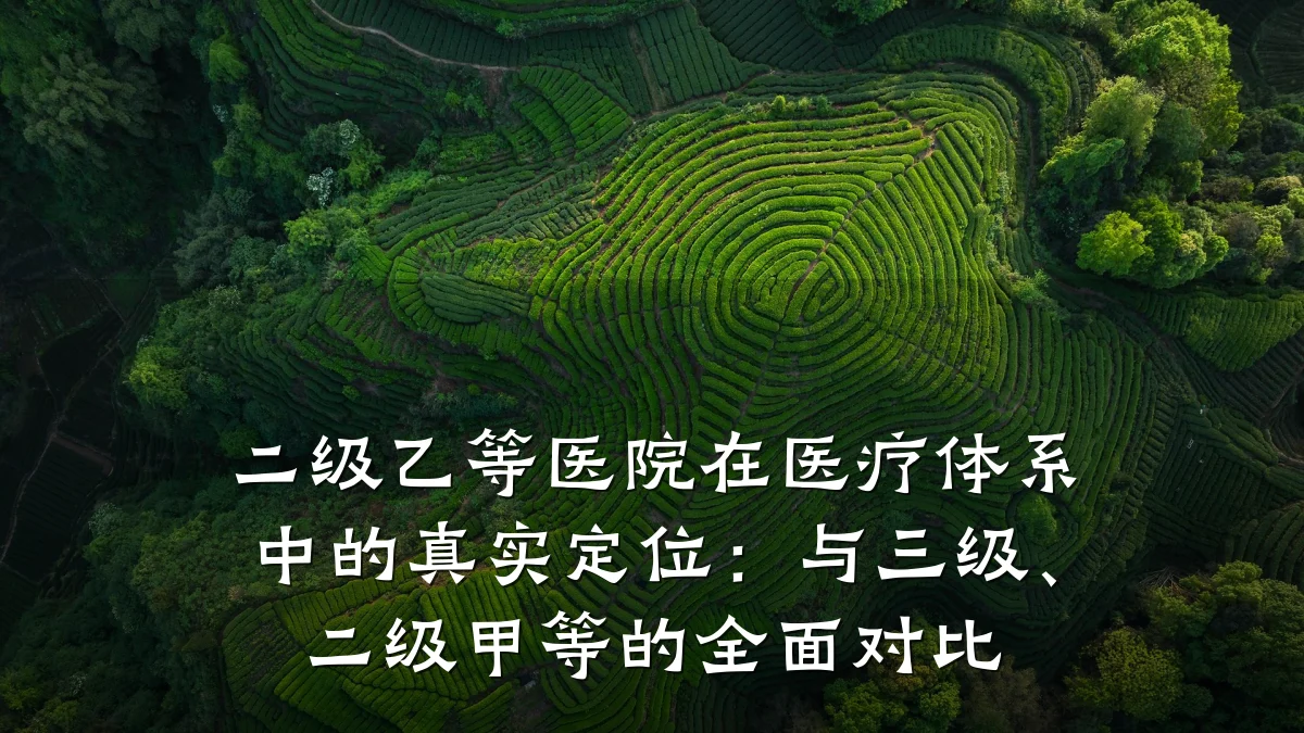 二级乙等医院在医疗体系中的真实定位：与三级、二级甲等的全面对比