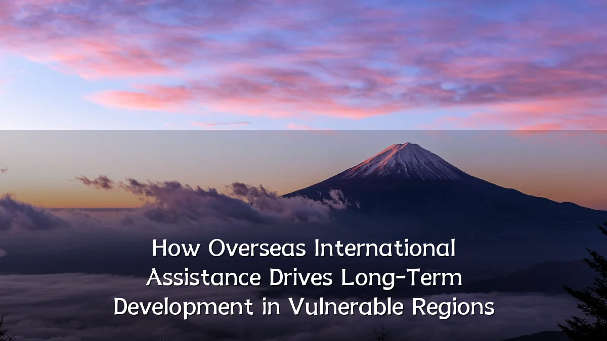 How Overseas International Assistance Drives Long-Term Development in Vulnerable Regions