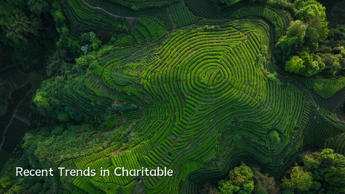 Recent Trends in Charitable