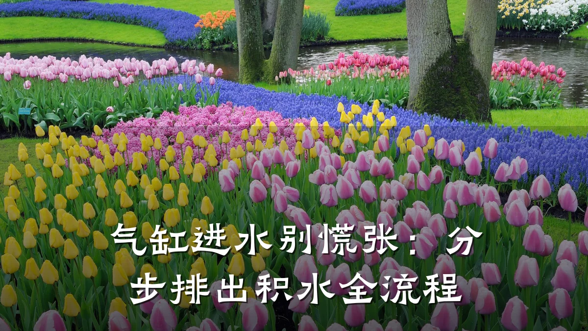 气缸进水别慌张:分步排出积水全流程