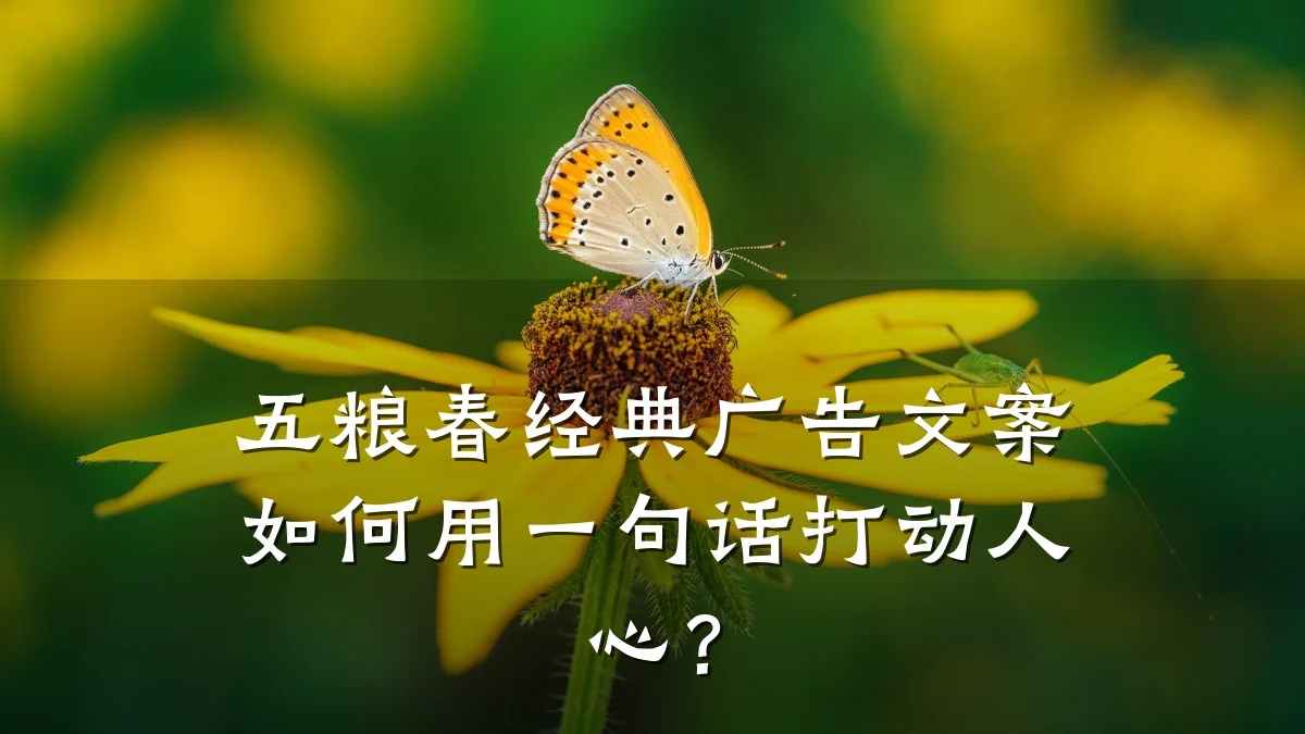 五粮春经典广告文案如何用一句话打动人心?