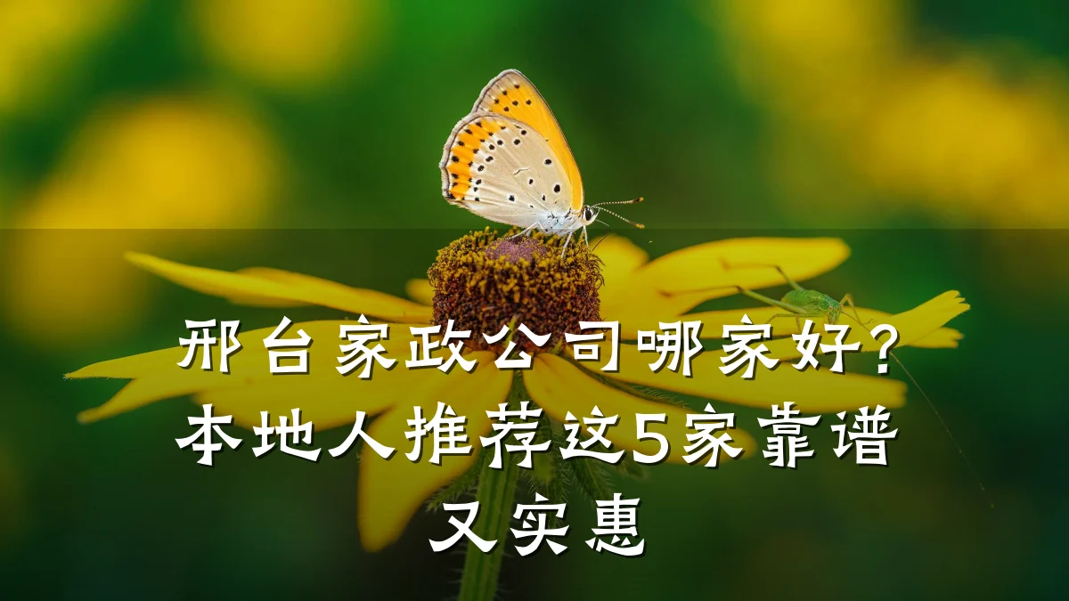 邢台家政公司哪家好?本地人推荐这5家靠谱又实惠