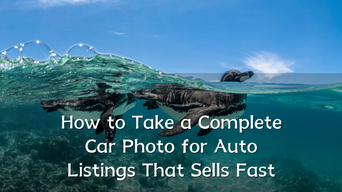 How to Take a Complete Car Photo for Auto Listings That Sells Fast