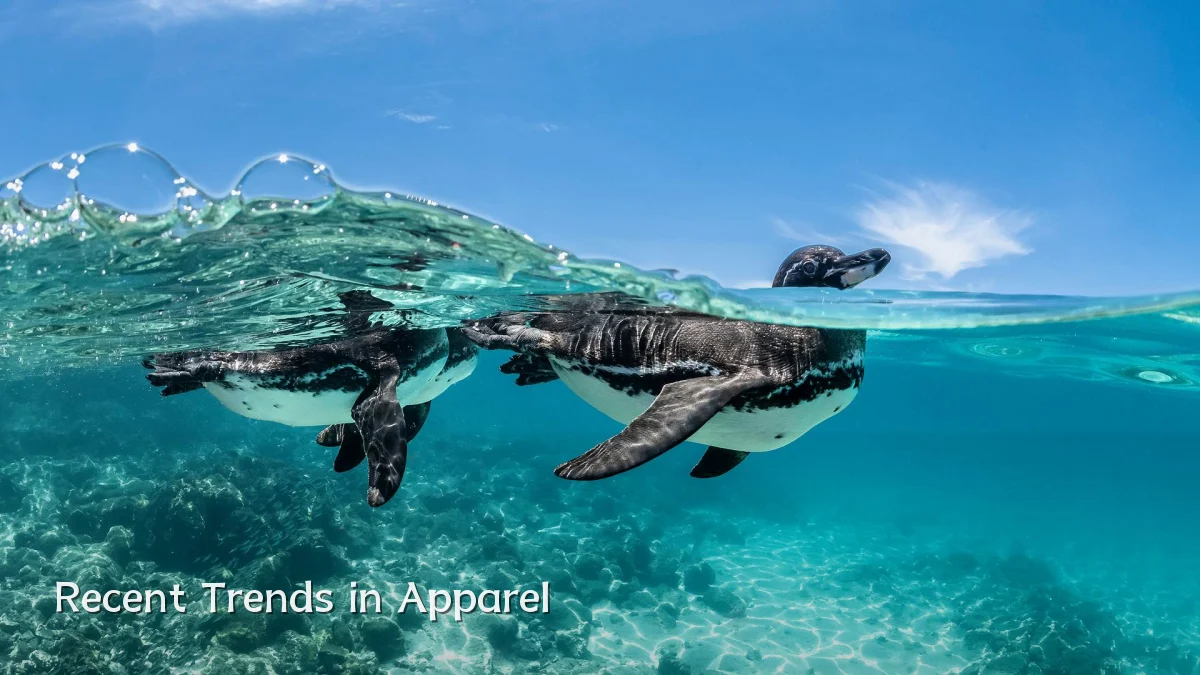 Recent Trends in Apparel