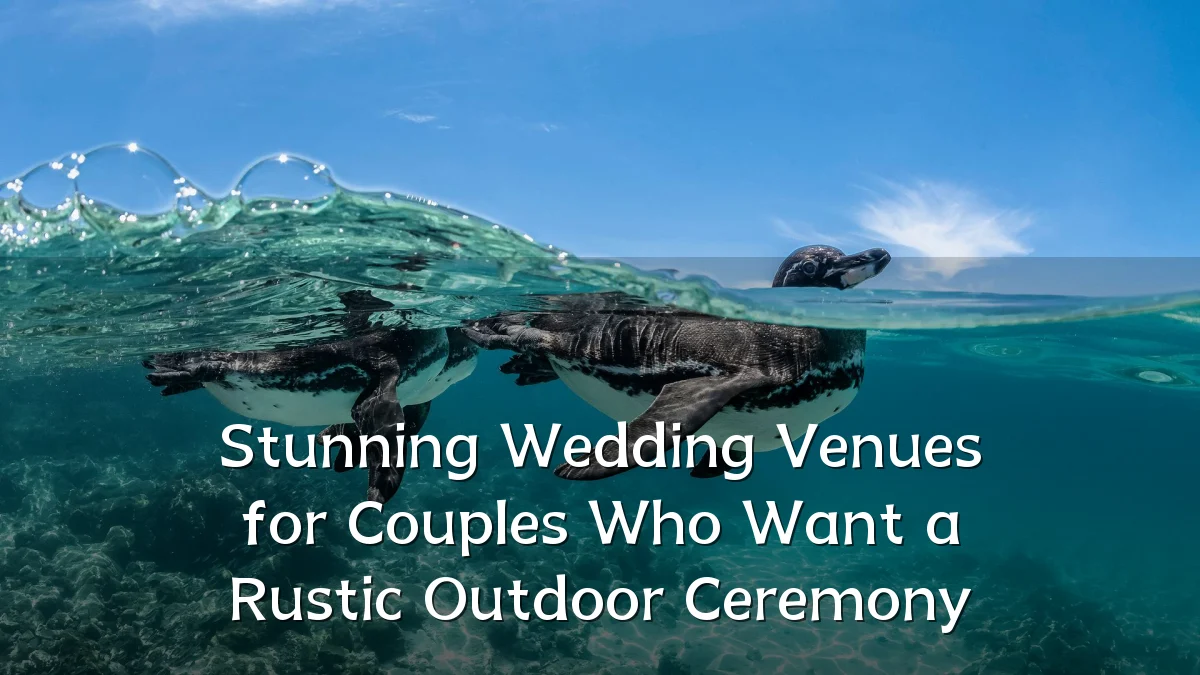 Stunning Wedding Venues for Couples Who Want a Rustic Outdoor Ceremony