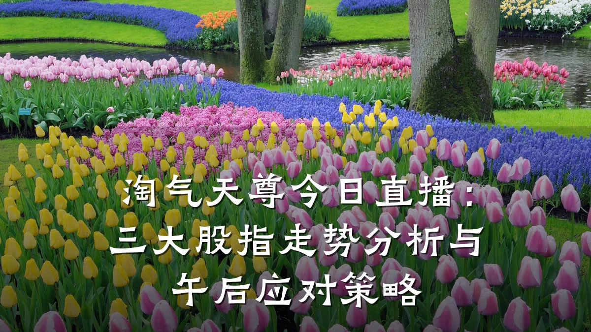 淘气天尊今日直播:三大股指走势分析与午后应对策略