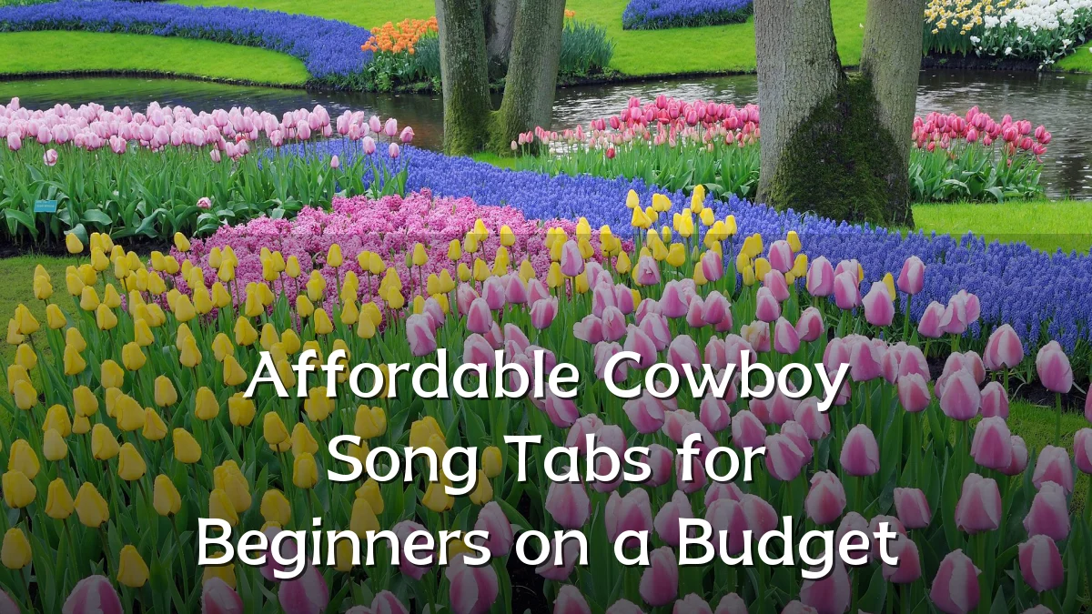 Affordable Cowboy Song Tabs for Beginners on a Budget