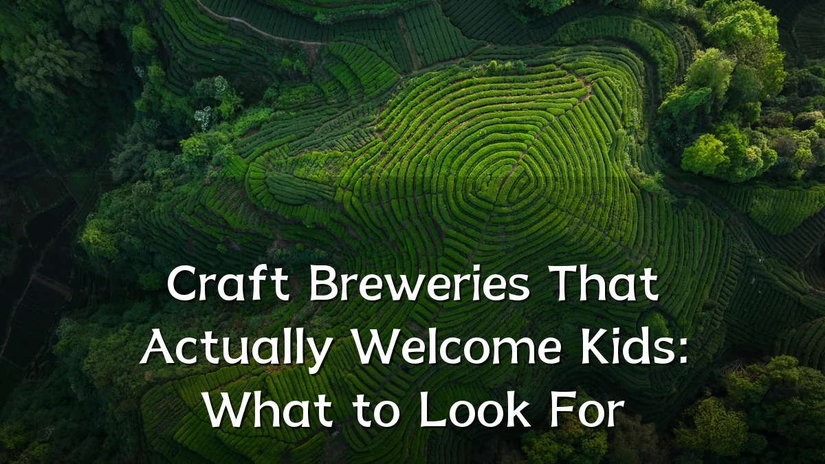 Craft Breweries That Actually Welcome Kids: What to Look For