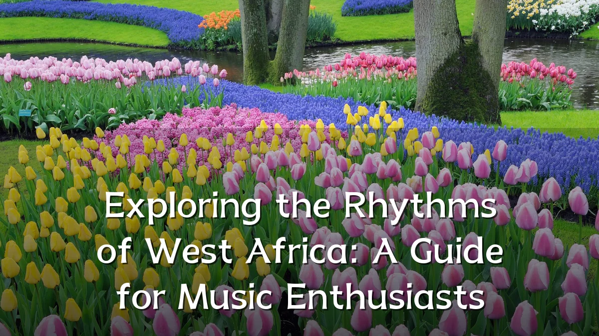 Exploring the Rhythms of West Africa: A Guide for Music Enthusiasts