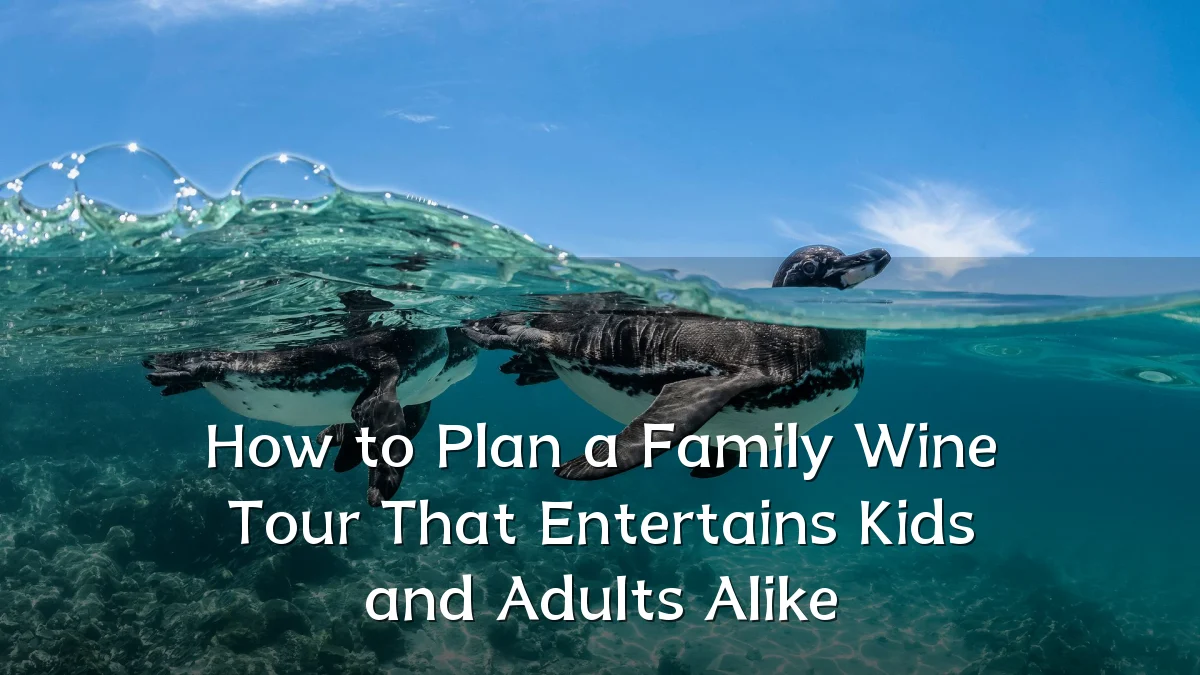 How to Plan a Family Wine Tour That Entertains Kids and Adults Alike
