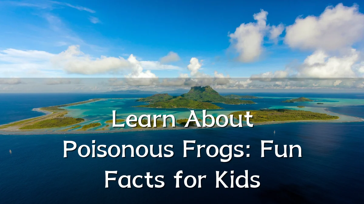 Learn About Poisonous Frogs: Fun Facts for Kids