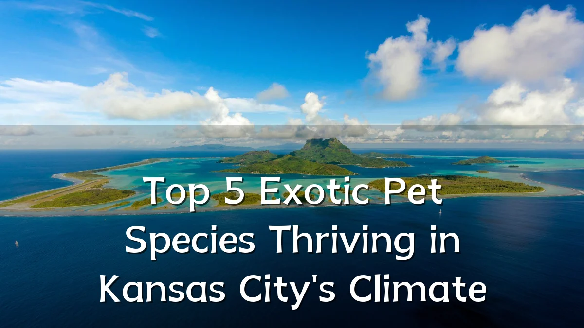 Top 5 Exotic Pet Species Thriving in Kansas City's Climate