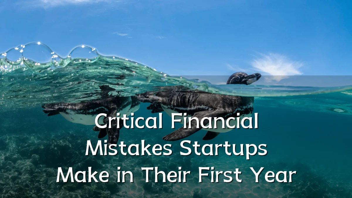 Critical Financial Mistakes Startups Make in Their First Year
