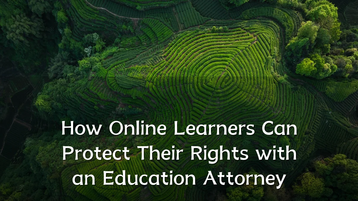 How Online Learners Can Protect Their Rights with an Education Attorney
