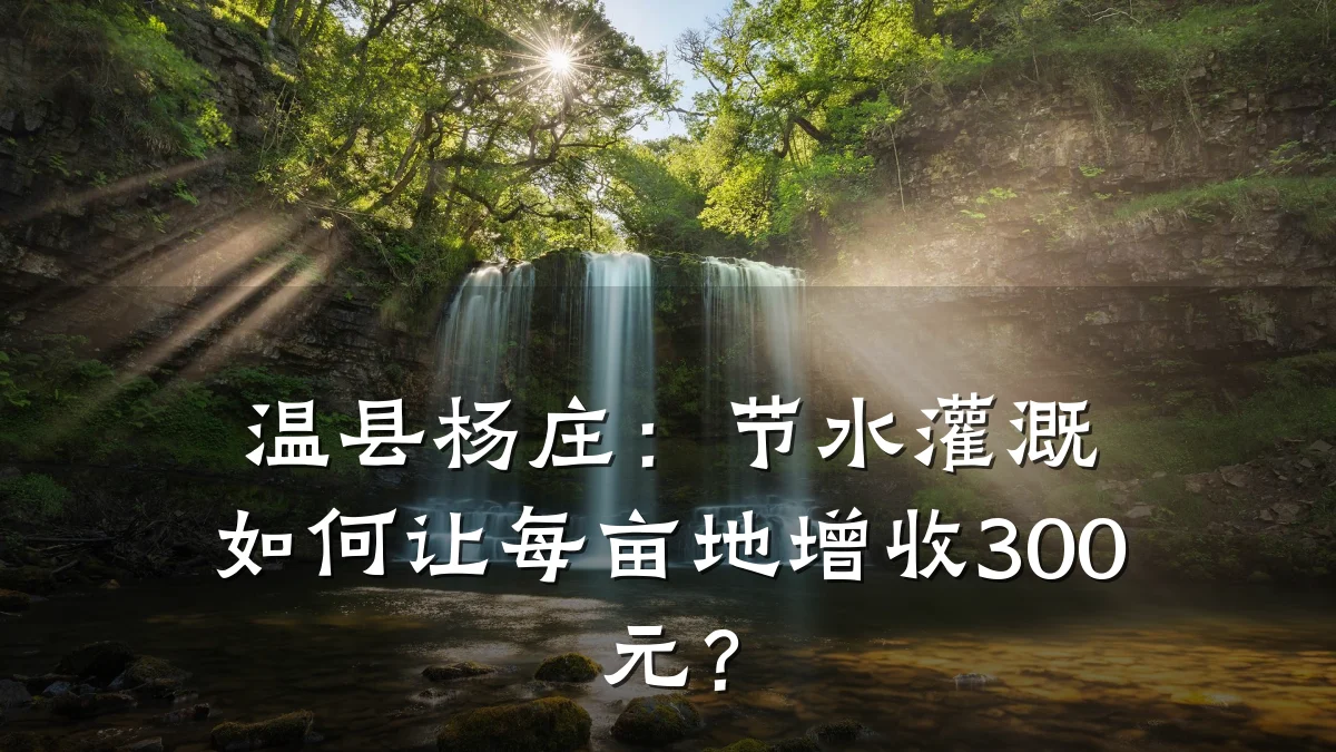 温县杨庄:节水灌溉如何让每亩地增收300元?