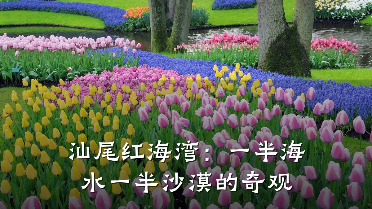 汕尾红海湾:一半海水一半沙漠的奇观