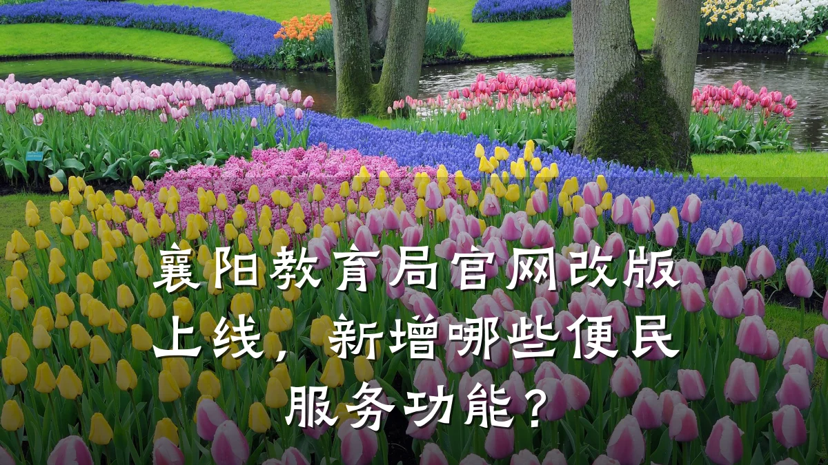 襄阳教育局官网改版上线,新增哪些便民服务功能?