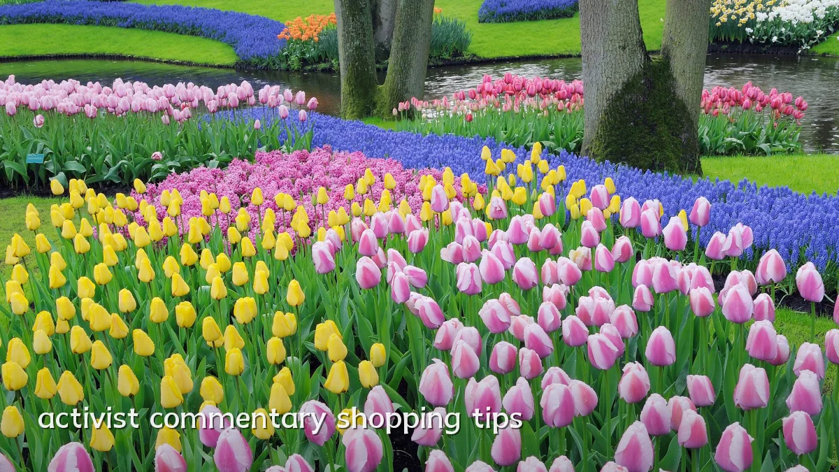 activist commentary shopping tips