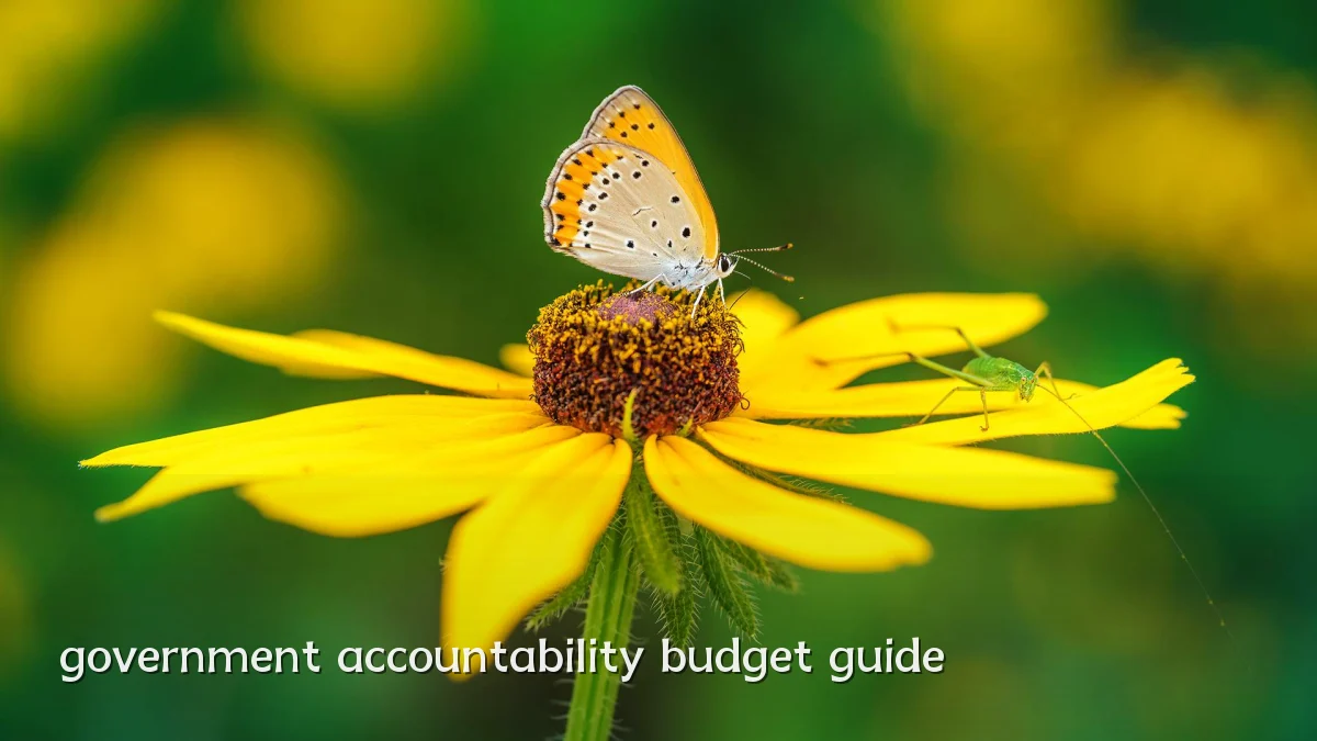 government accountability budget guide