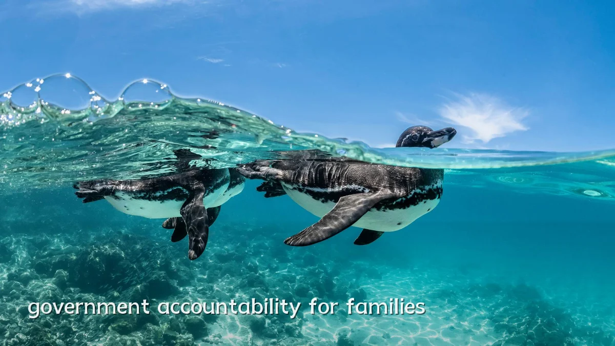 government accountability for families