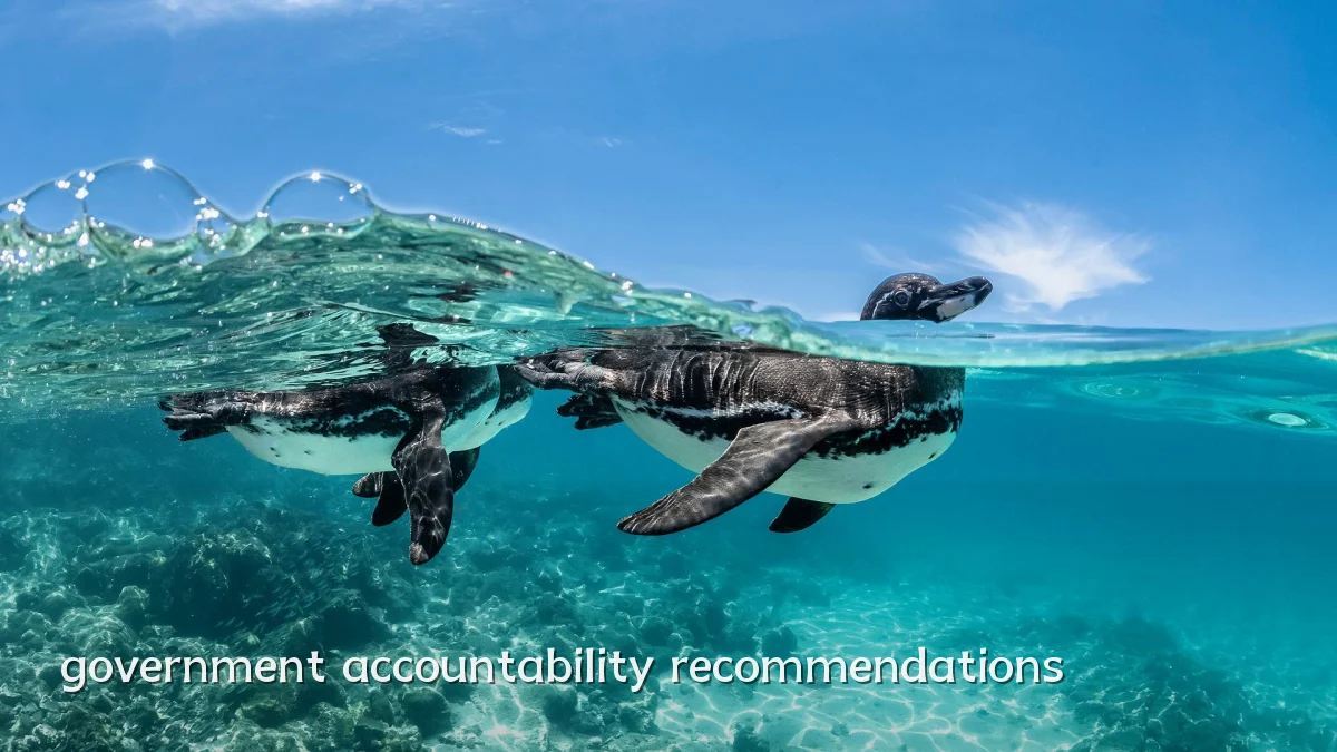 government accountability recommendations
