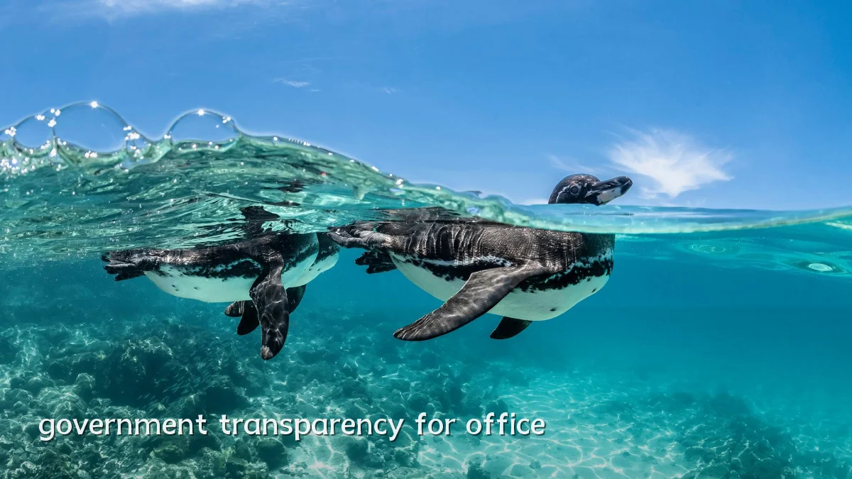 government transparency for office