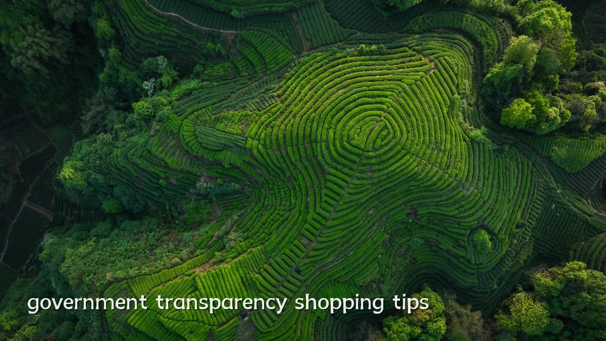 government transparency shopping tips