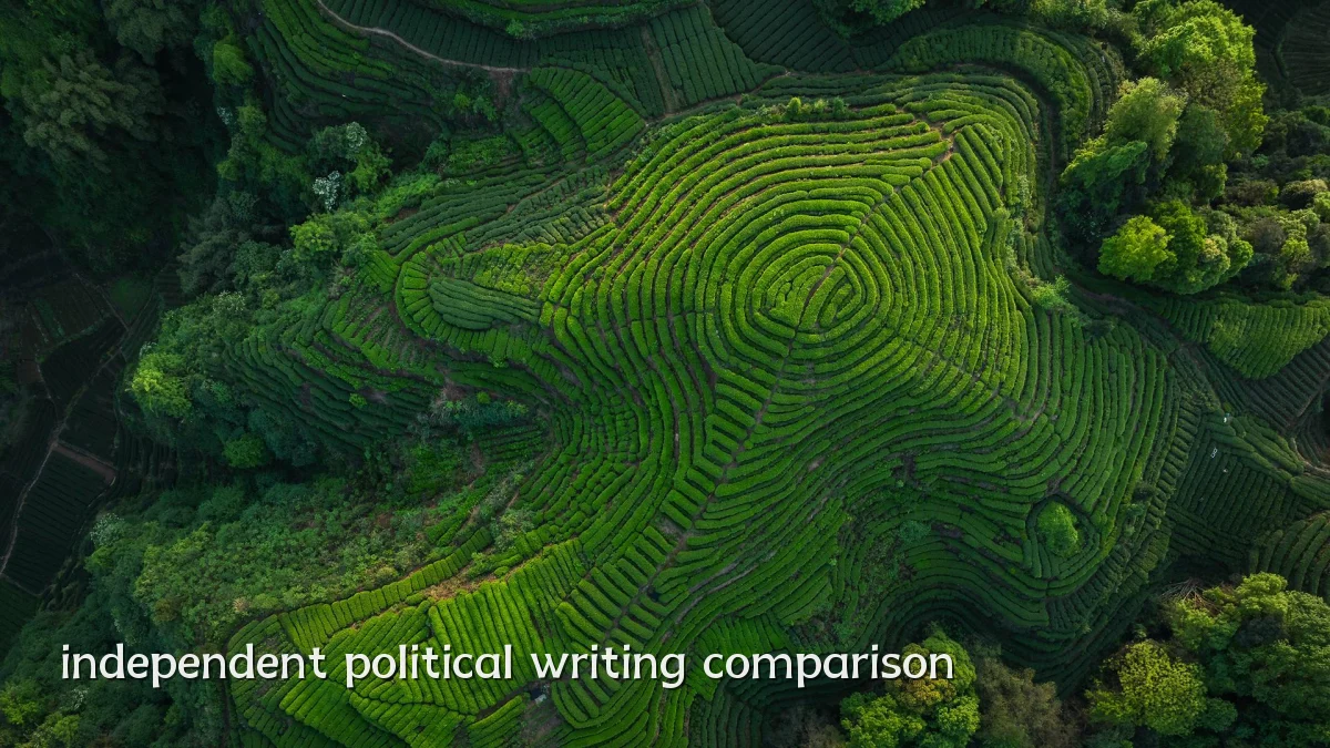 independent political writing comparison