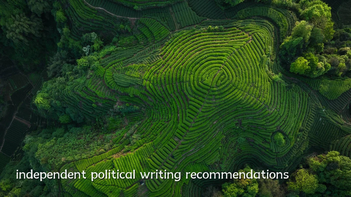 independent political writing recommendations