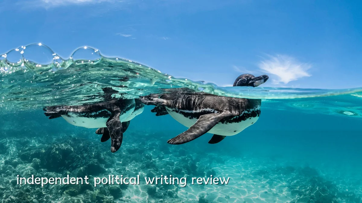 independent political writing review