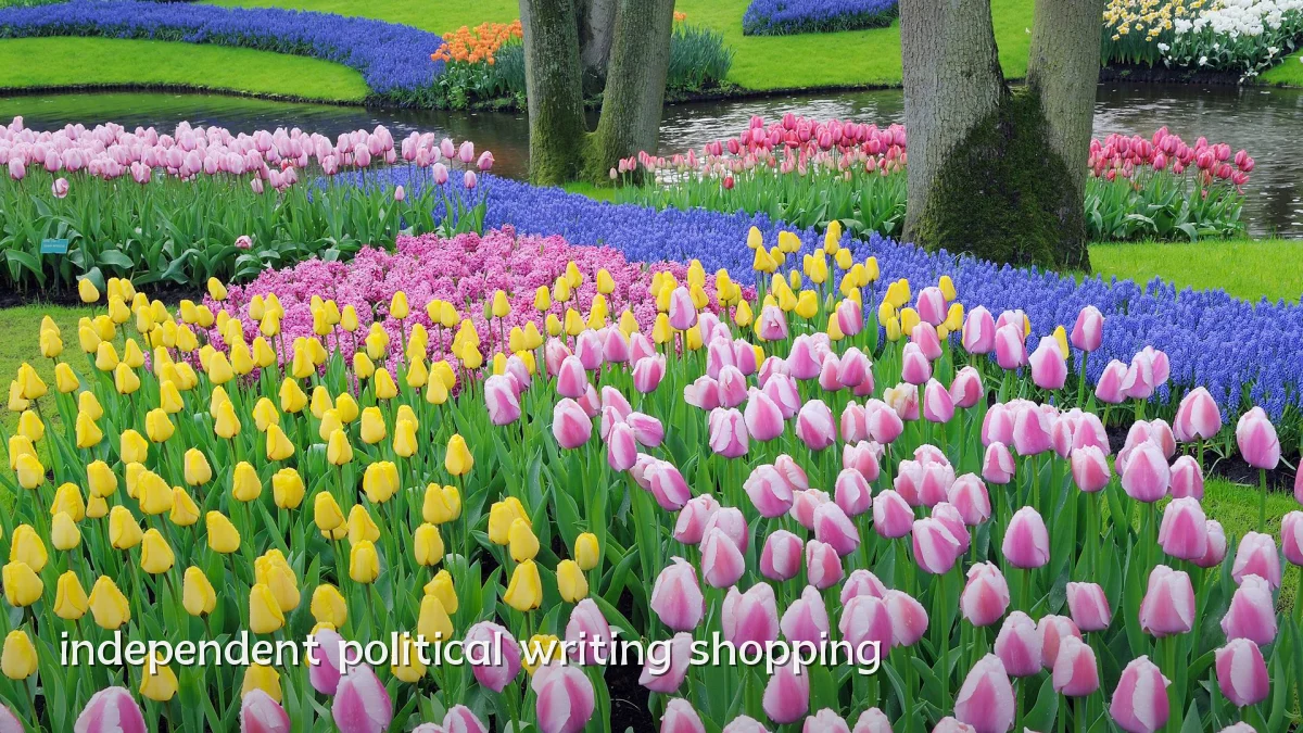 independent political writing shopping