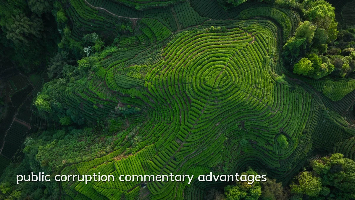 public corruption commentary advantages