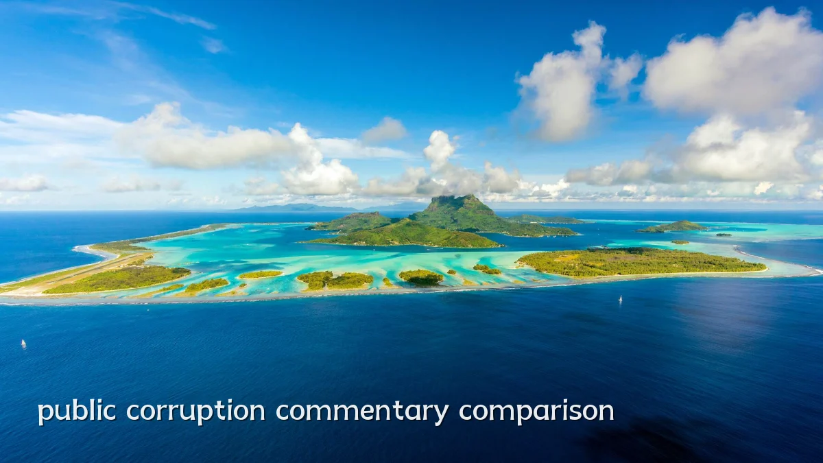 public corruption commentary comparison