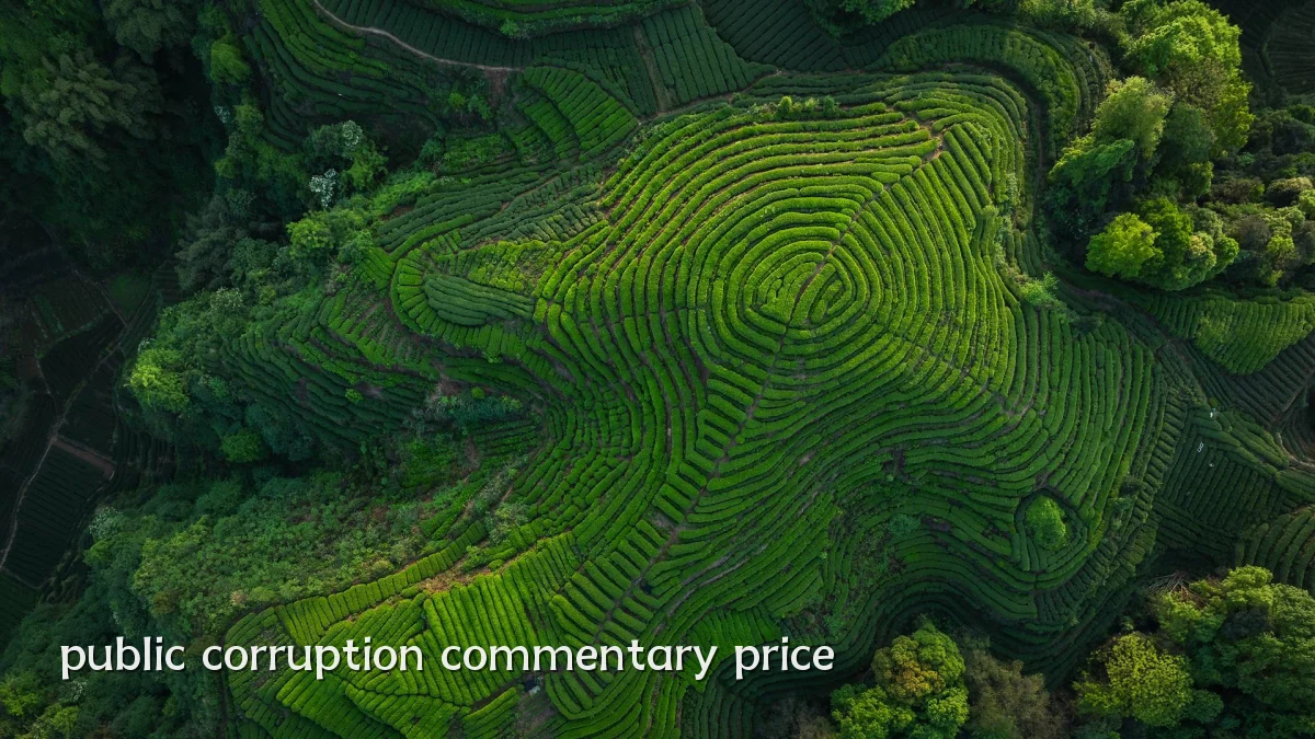 public corruption commentary price