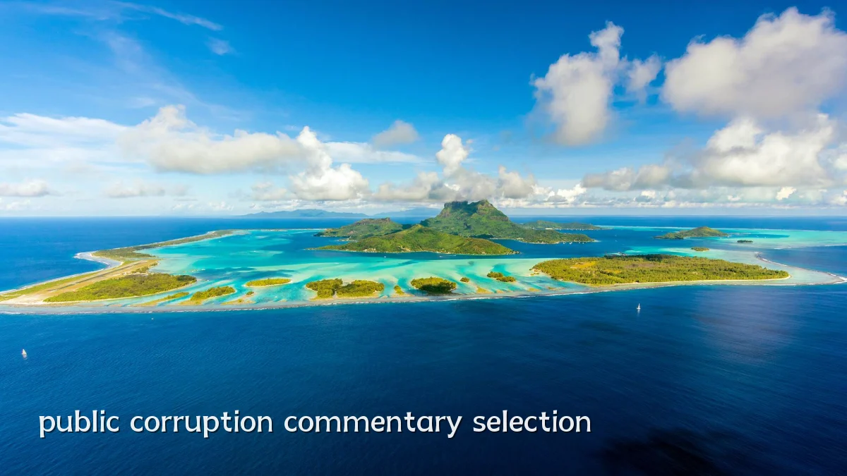 public corruption commentary selection