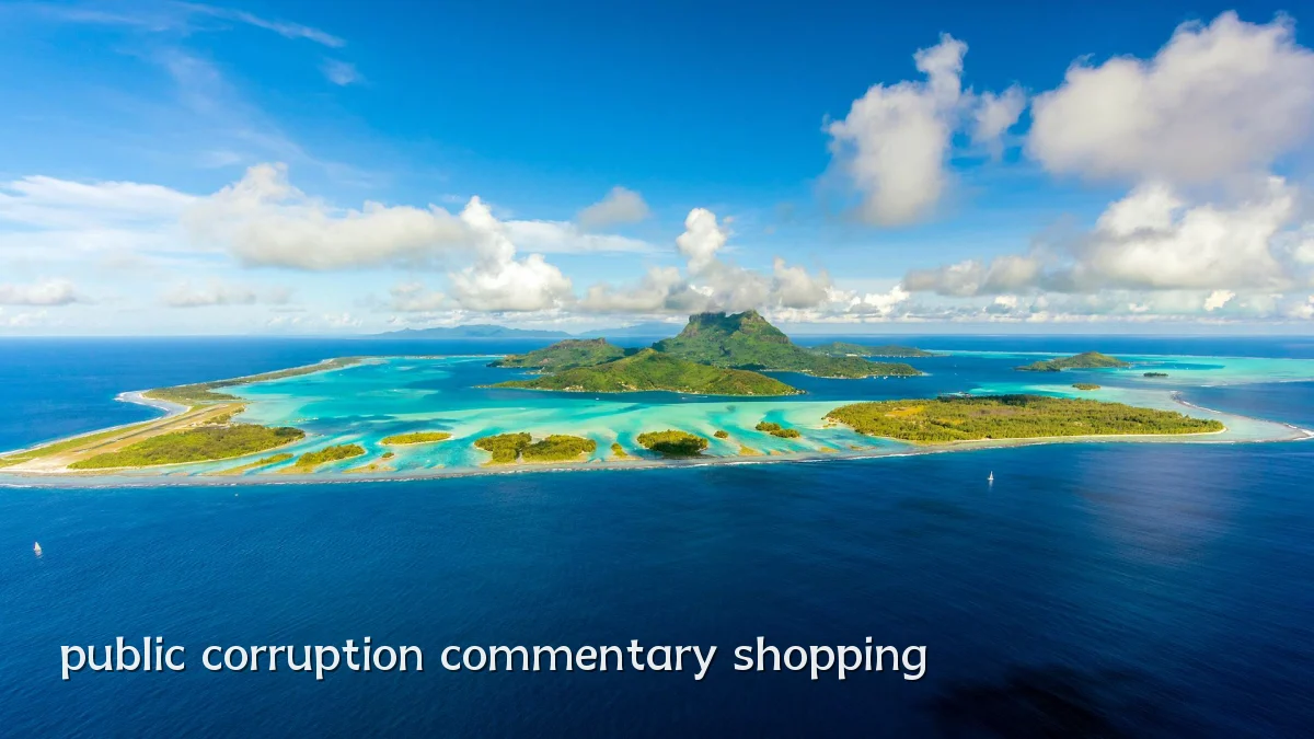 public corruption commentary shopping