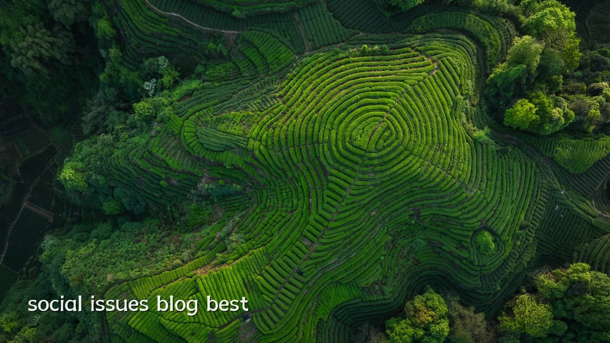 social issues blog best