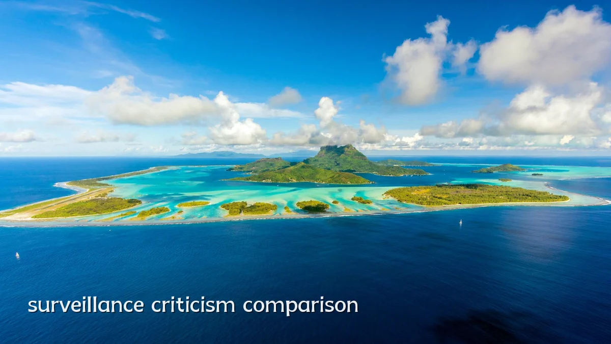 surveillance criticism comparison