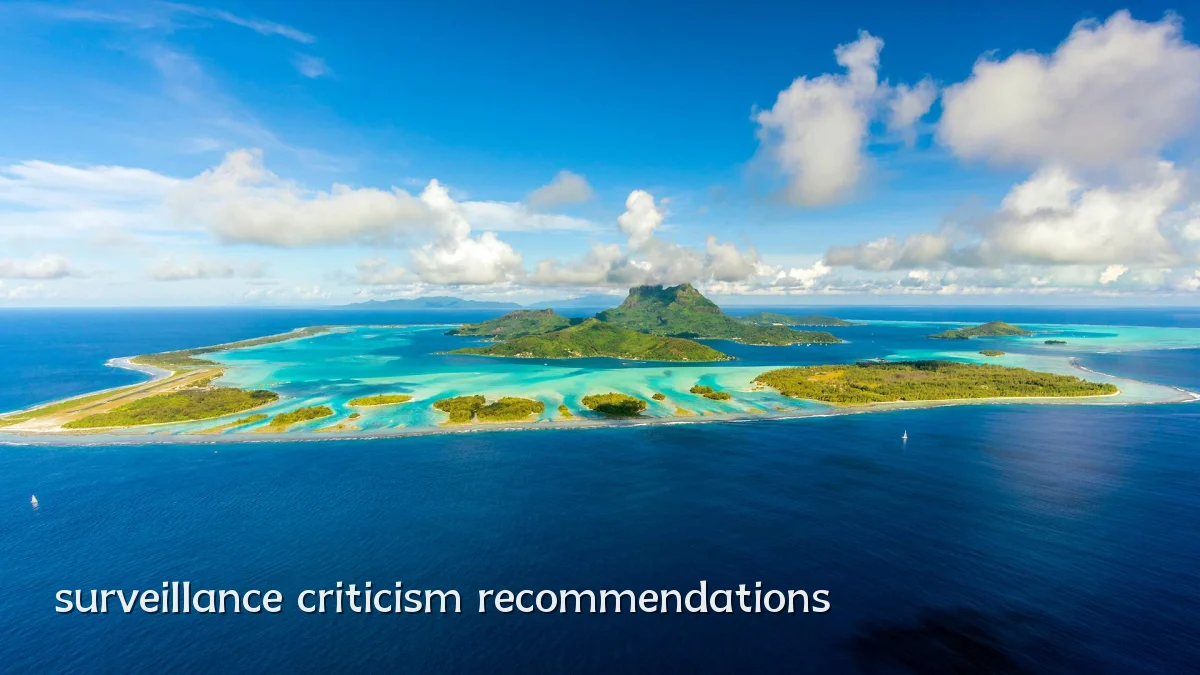 surveillance criticism recommendations