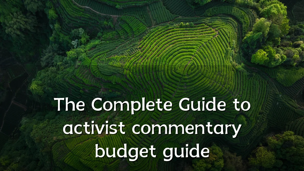 The Complete Guide to activist commentary budget guide