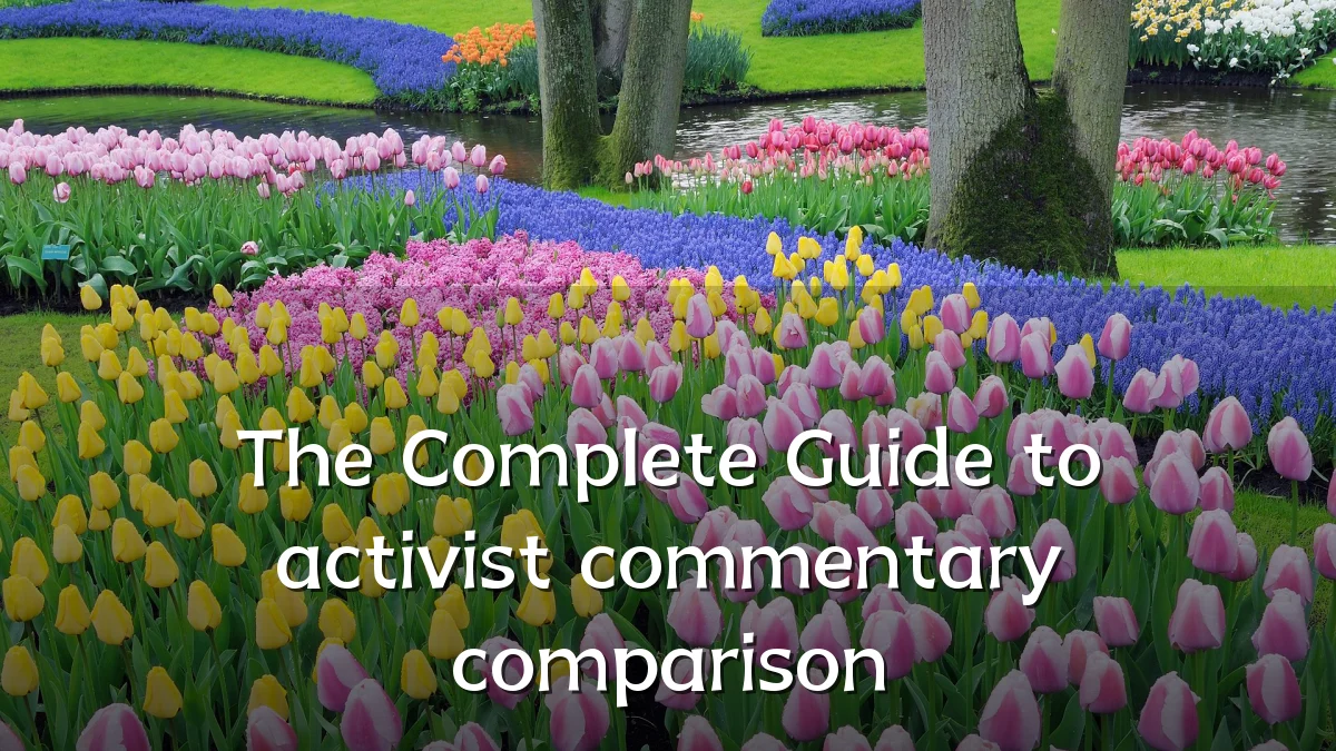 The Complete Guide to activist commentary comparison