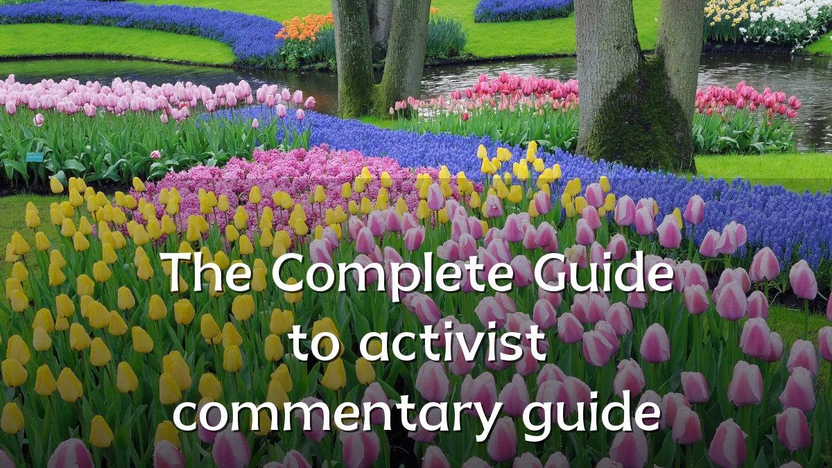 The Complete Guide to activist commentary guide